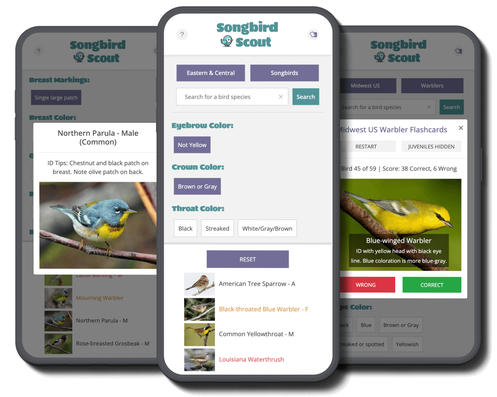 Songbird Scout Screenshot
